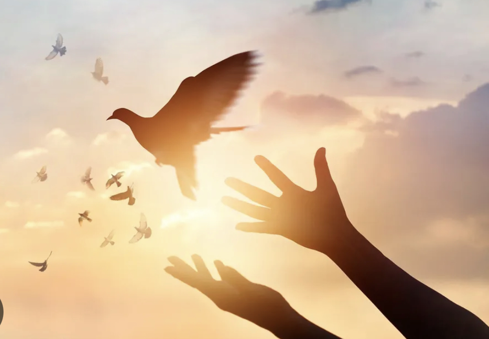 आज विश्व स्वतन्त्रता दिवस मनाइँदै, नेपालमा पनि मनाइँदै