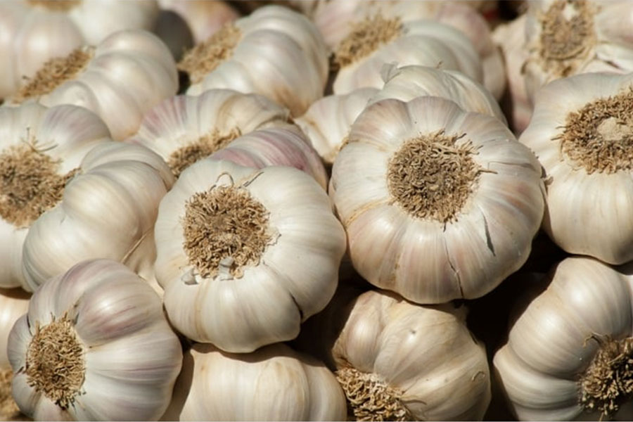 नेपाली र चिनियाँ लसुनको बढ्यो भाउ