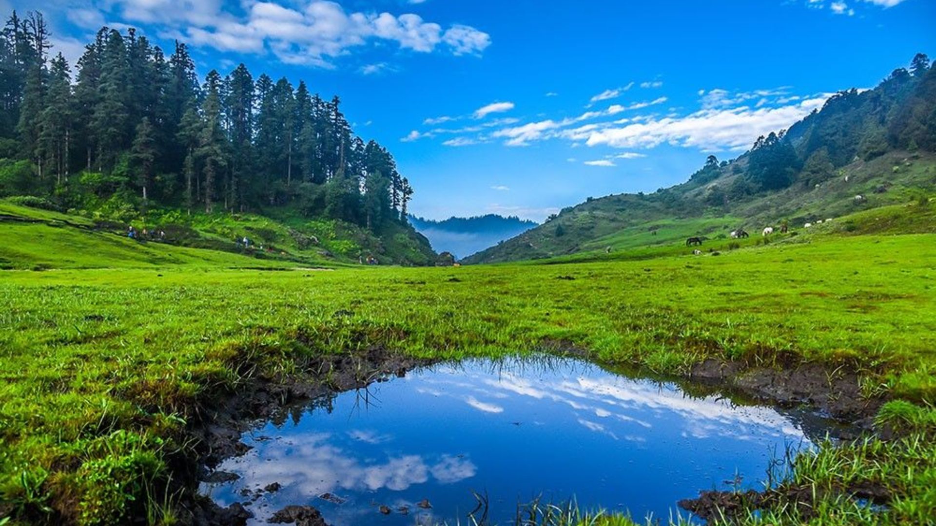 बजेटको प्राथमिकतामा कञ्चनपुरमा सात आयोजना