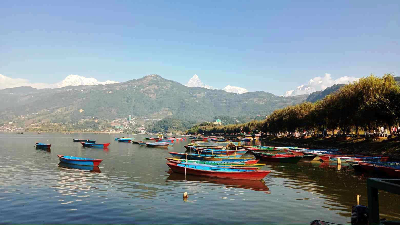 लेकसाइडका स्पा सेन्टरबाट ८ बालिकाको उद्धार