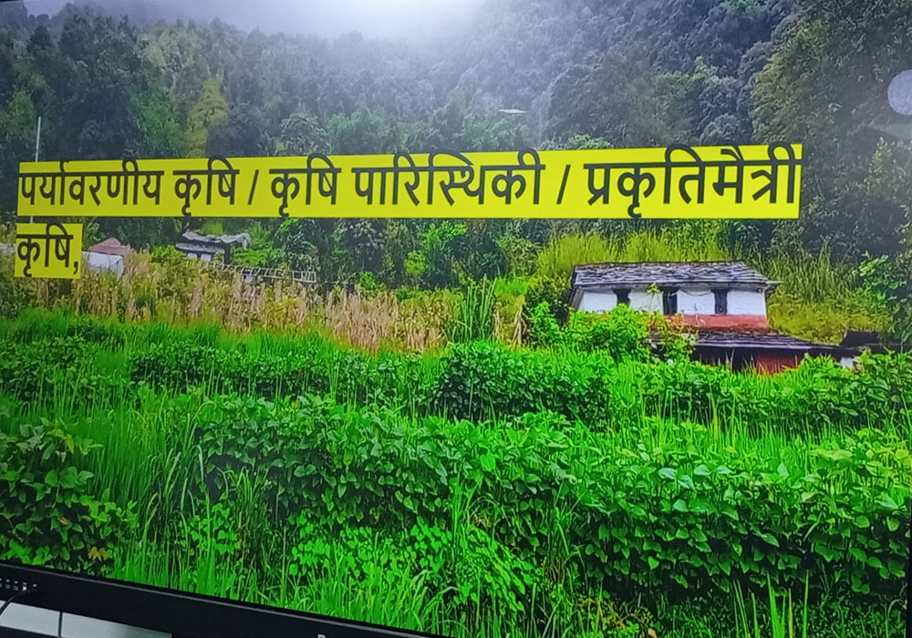 उद्धव अधिकारीको संयोजकत्वमा ९ खाद्यका लागि कृषि अभियान